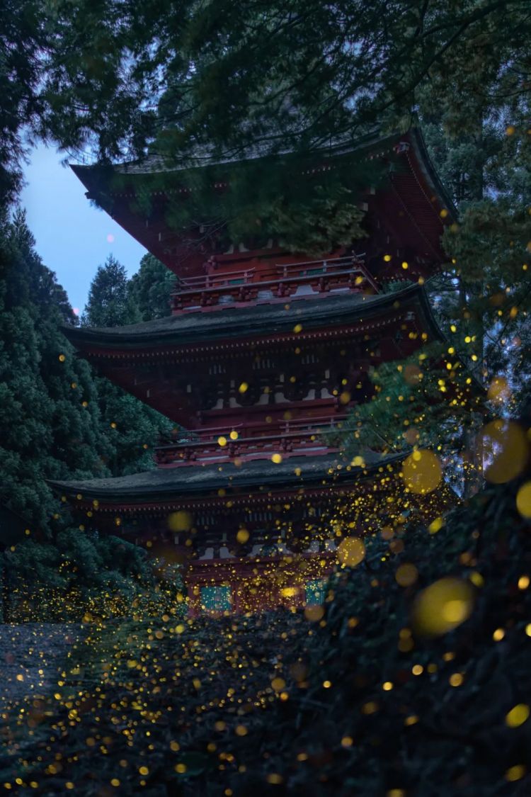 第134期:日本首相儿子被炒鱿鱼;小室圭真子夫妇5月最新街拍|百通板 第134期:日本首相儿子被炒鱿鱼;小室圭真子夫妇5月最新街拍|百通板