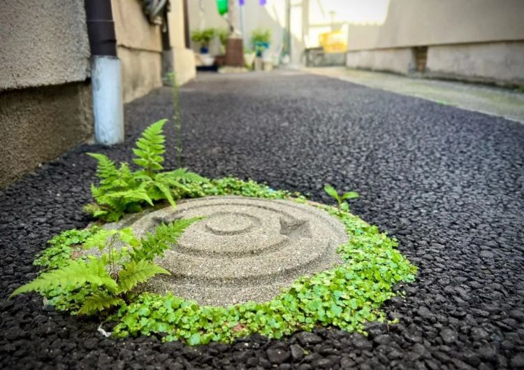 第134期:日本首相儿子被炒鱿鱼;小室圭真子夫妇5月最新街拍|百通板 第134期:日本首相儿子被炒鱿鱼;小室圭真子夫妇5月最新街拍|百通板