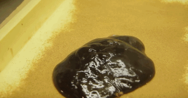 日本京都的昼夜三餐 日本京都的昼夜三餐