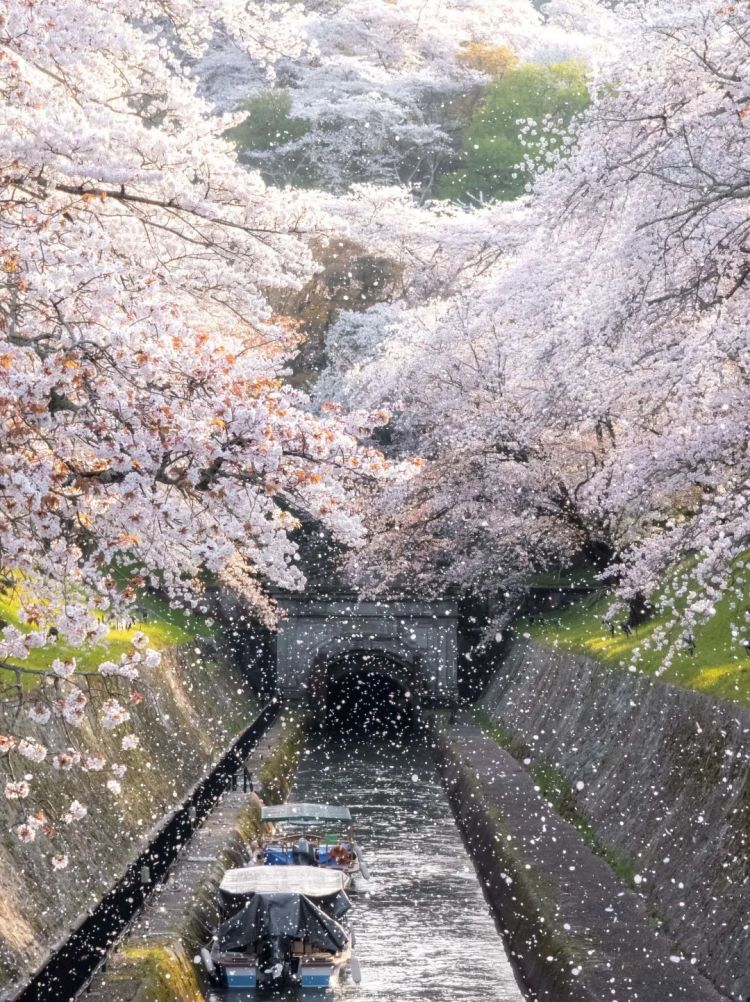 第158期:福原爱或面临两年以上有期徒刑;首届“发呆”大赛在东京举办 | 百通板 第158期:福原爱或面临两年以上有期徒刑;首届“发呆”大赛在东京举办 | 百通板