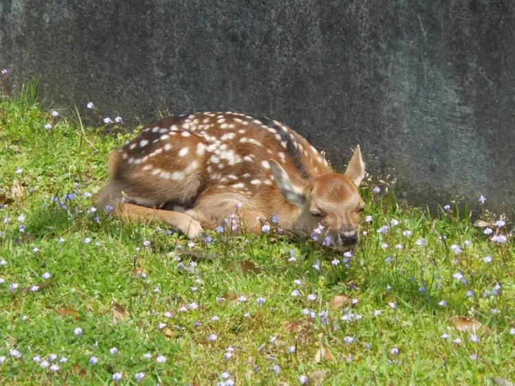 第158期:福原爱或面临两年以上有期徒刑;首届“发呆”大赛在东京举办 | 百通板 第158期:福原爱或面临两年以上有期徒刑;首届“发呆”大赛在东京举办 | 百通板