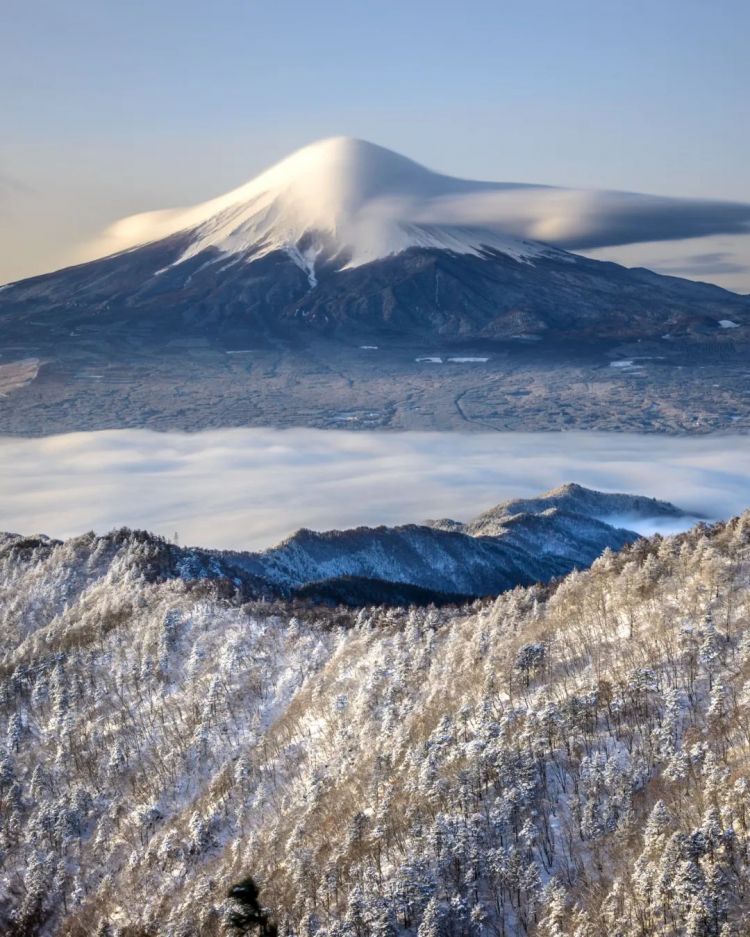 第158期:福原爱或面临两年以上有期徒刑;首届“发呆”大赛在东京举办 | 百通板 第158期:福原爱或面临两年以上有期徒刑;首届“发呆”大赛在东京举办 | 百通板
