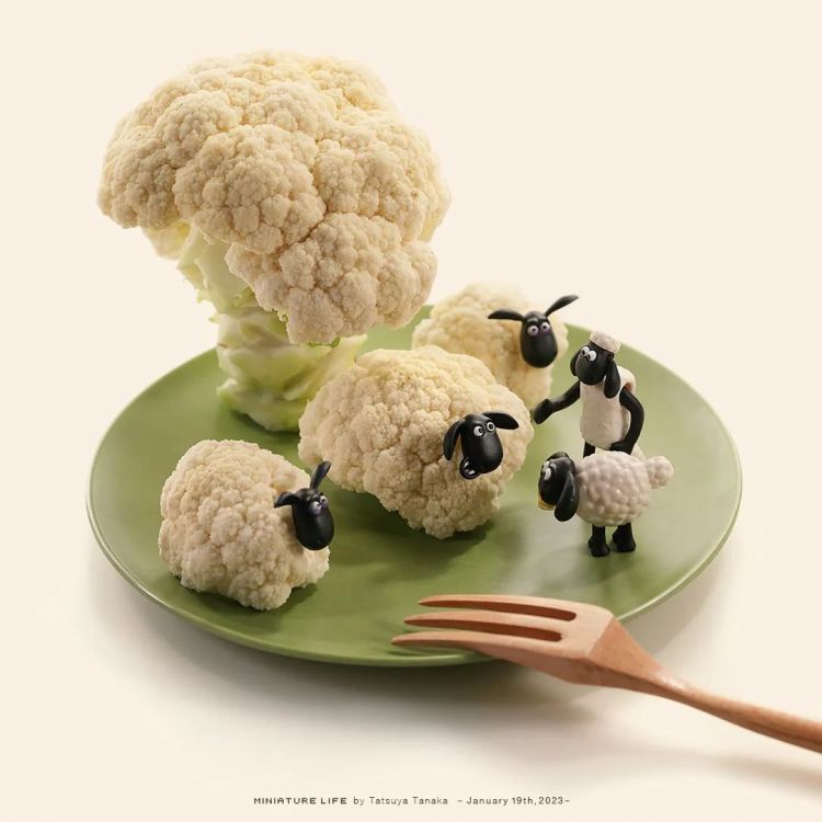 第158期:福原爱或面临两年以上有期徒刑;首届“发呆”大赛在东京举办 | 百通板 第158期:福原爱或面临两年以上有期徒刑;首届“发呆”大赛在东京举办 | 百通板