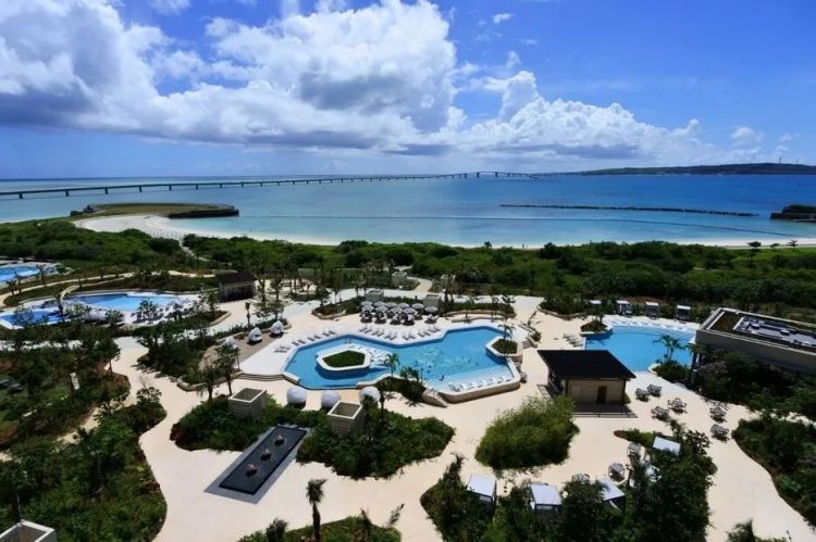 第158期:福原爱或面临两年以上有期徒刑;首届“发呆”大赛在东京举办 | 百通板 第158期:福原爱或面临两年以上有期徒刑;首届“发呆”大赛在东京举办 | 百通板