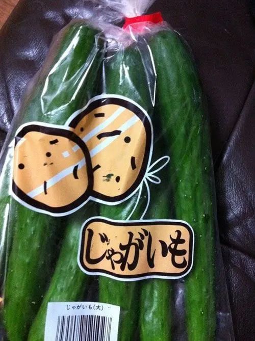 第173期：日本改革“外国人永住在留资格”；新海诚合作制片人被逮捕；宇多田光新巡演确定 | 百通板