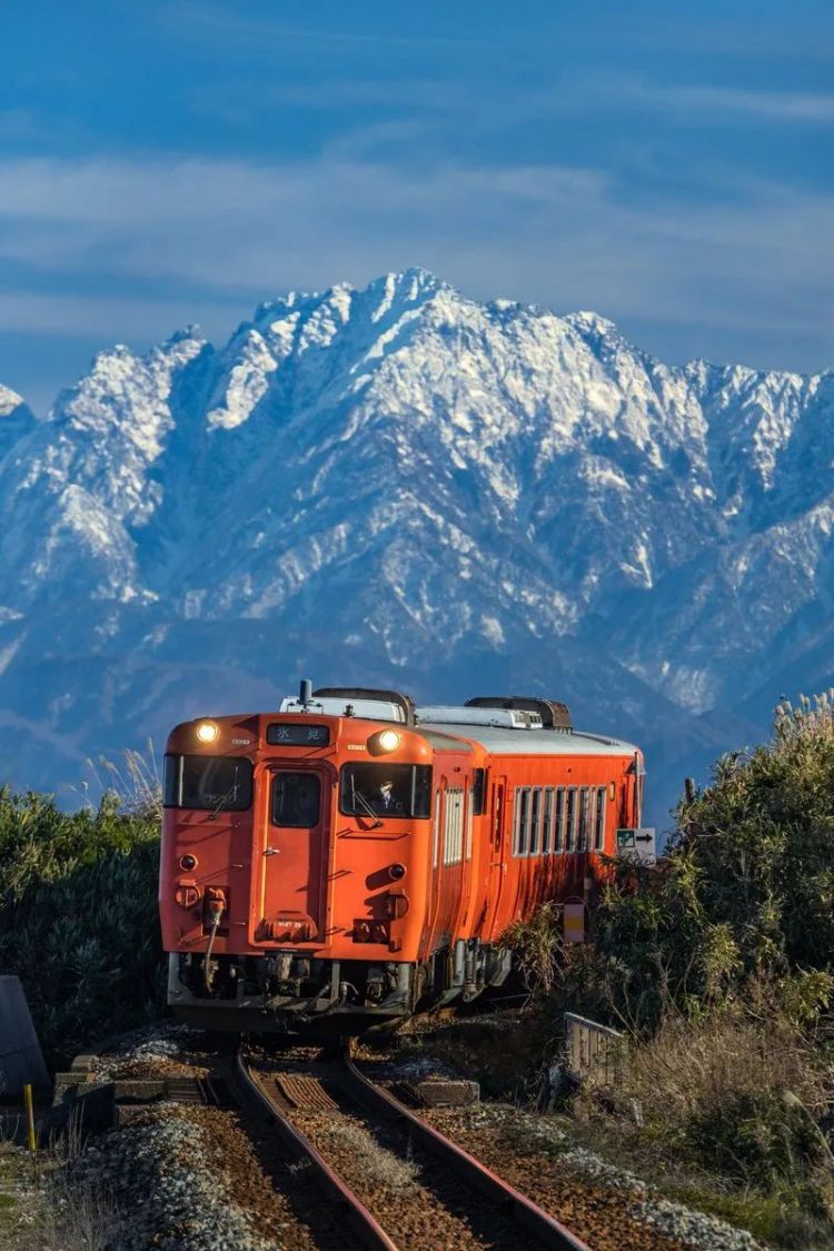 第173期：日本改革“外国人永住在留资格”；新海诚合作制片人被逮捕；宇多田光新巡演确定 | 百通板