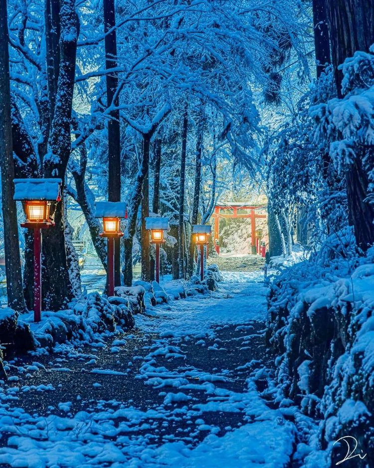 第173期：日本改革“外国人永住在留资格”；新海诚合作制片人被逮捕；宇多田光新巡演确定 | 百通板