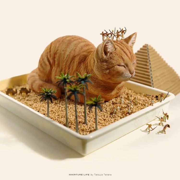 第173期：日本改革“外国人永住在留资格”；新海诚合作制片人被逮捕；宇多田光新巡演确定 | 百通板