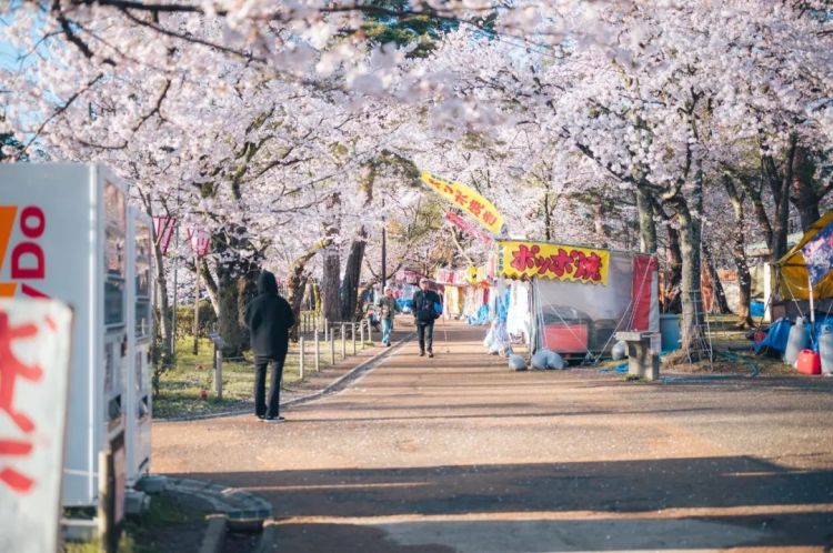 第180期：菅田将晖被网友惊叹大变样；广末凉子继离婚后首亮相；访日外国人人次创新高 | 百通板