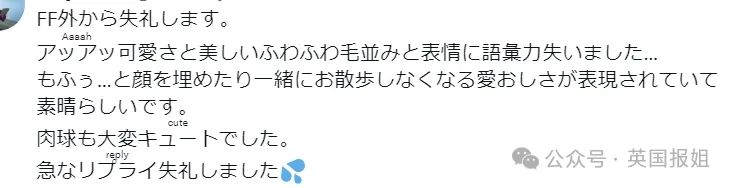 日本男子花200万变成狗,最新哈士奇造型炸裂!张嘴摇尾巴巨逼真... 日本男子花200万变成狗,最新哈士奇造型炸裂!张嘴摇尾巴巨逼真...