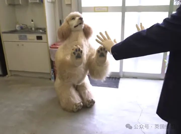日本男子花200万变成狗,最新哈士奇造型炸裂!张嘴摇尾巴巨逼真... 日本男子花200万变成狗,最新哈士奇造型炸裂!张嘴摇尾巴巨逼真...