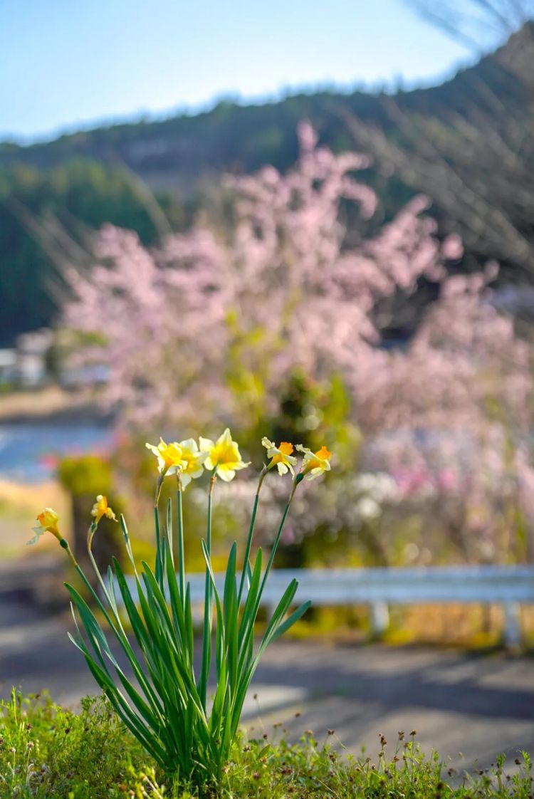 第一次去日本,真的很上头! 第一次去日本,真的很上头!