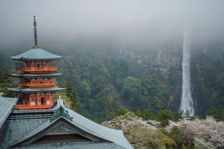 第一次去日本,真的很上头! 第一次去日本,真的很上头!