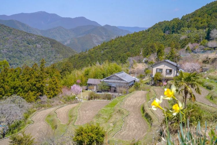 第一次去日本,真的很上头! 第一次去日本,真的很上头!