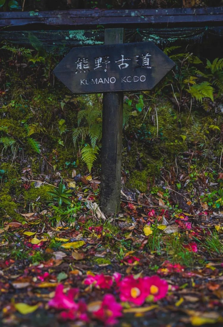 第一次去日本,真的很上头! 第一次去日本,真的很上头!