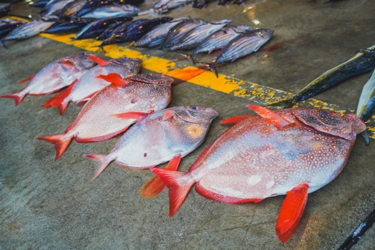 第一次去日本,真的很上头! 第一次去日本,真的很上头!