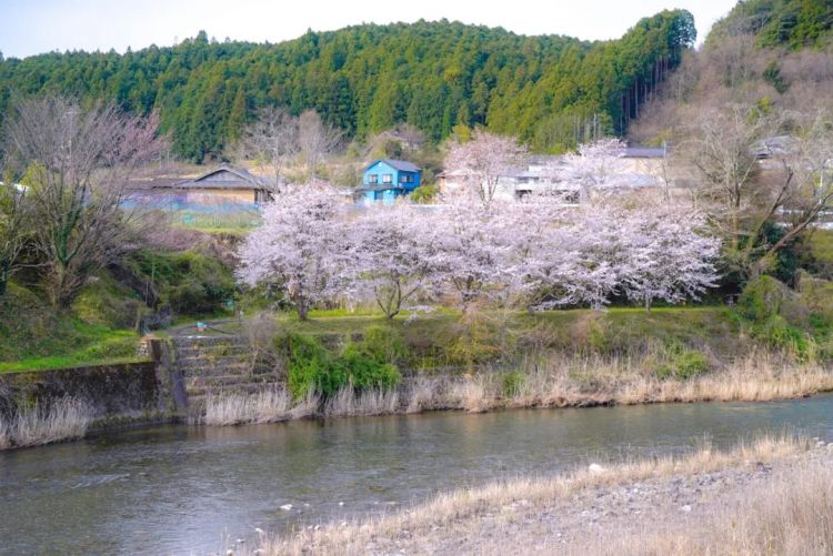 第一次去日本,真的很上头! 第一次去日本,真的很上头!