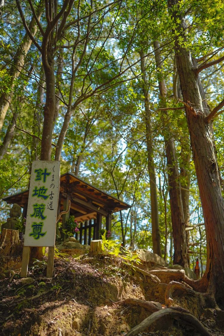 第一次去日本,真的很上头! 第一次去日本,真的很上头!