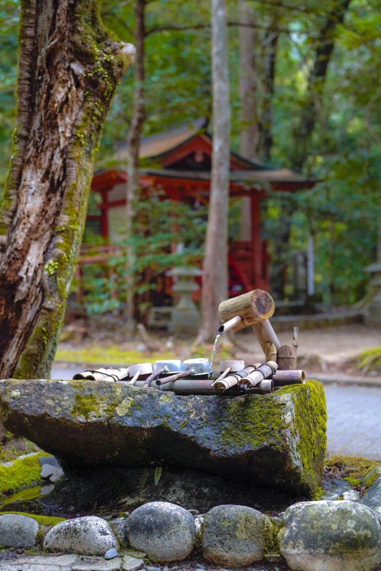 第一次去日本,真的很上头! 第一次去日本,真的很上头!