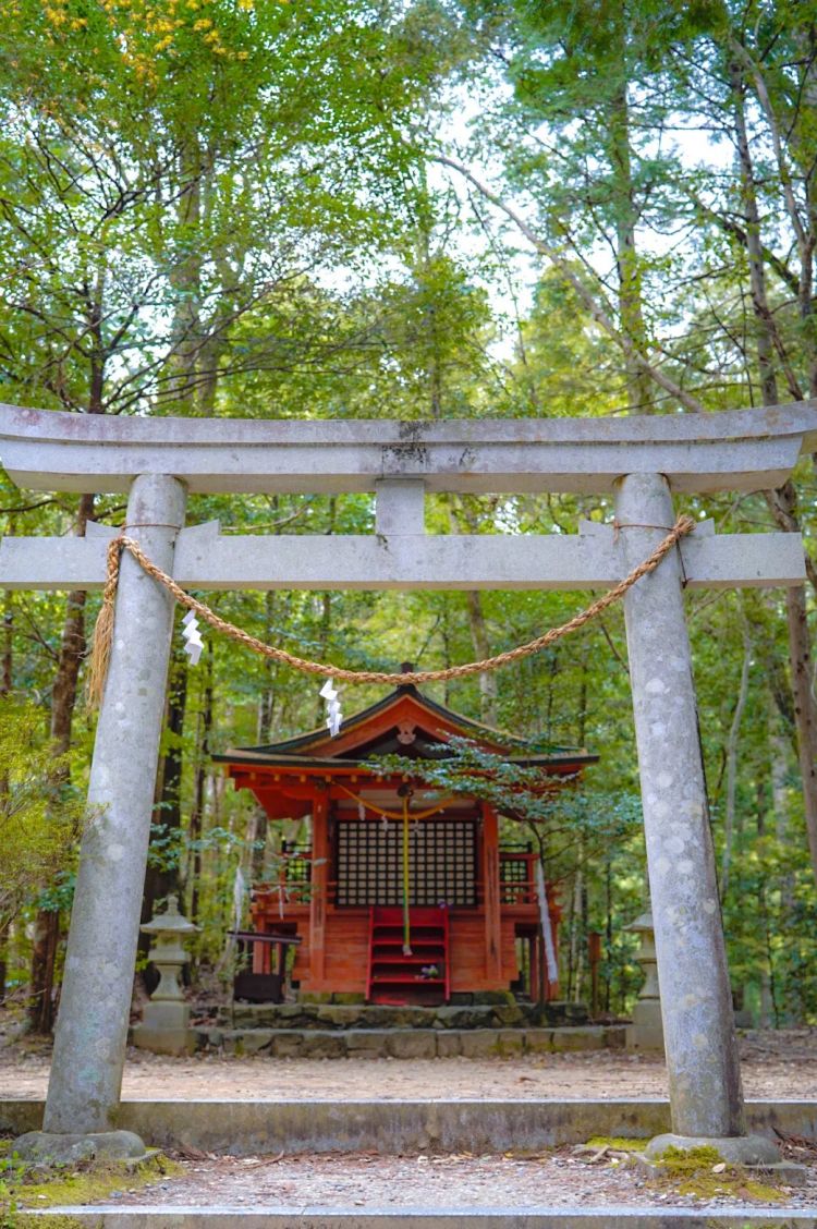 第一次去日本,真的很上头! 第一次去日本,真的很上头!