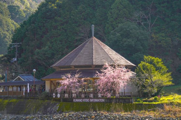 第一次去日本,真的很上头! 第一次去日本,真的很上头!