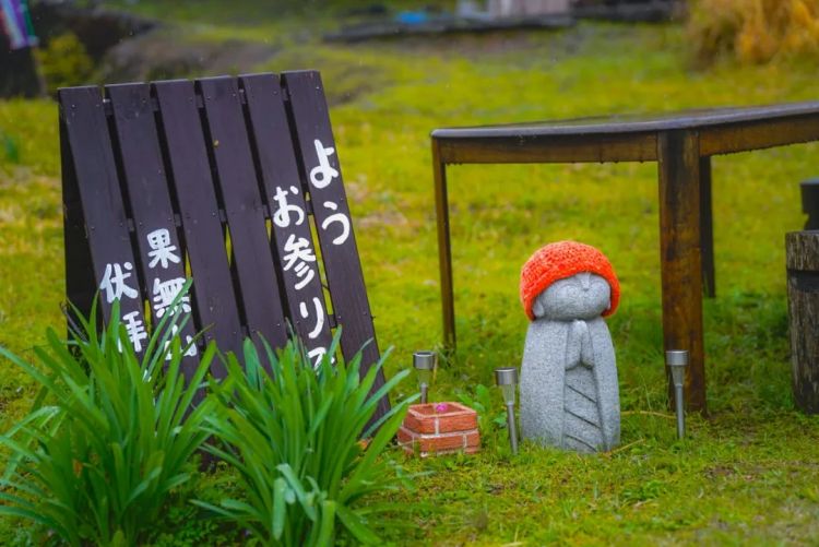 第一次去日本,真的很上头! 第一次去日本,真的很上头!