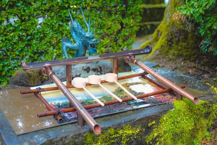 第一次去日本,真的很上头! 第一次去日本,真的很上头!