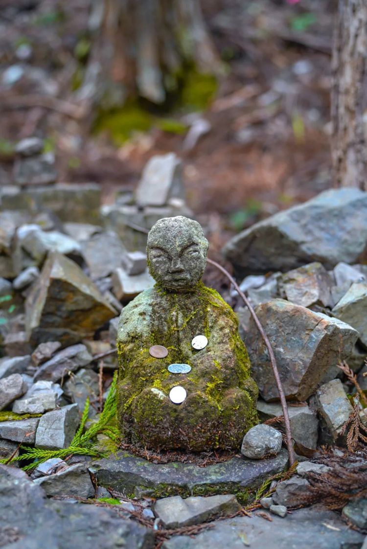 第一次去日本,真的很上头! 第一次去日本,真的很上头!