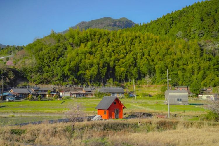 第一次去日本,真的很上头! 第一次去日本,真的很上头!