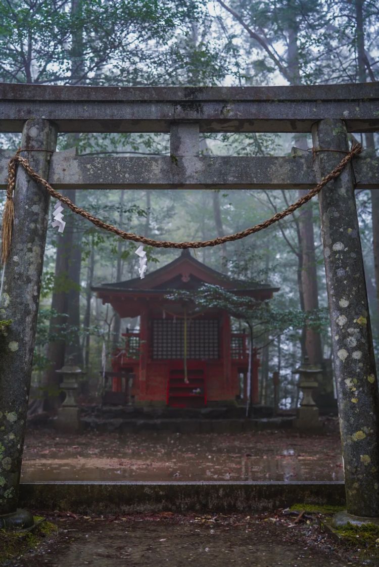 第一次去日本,真的很上头! 第一次去日本,真的很上头!