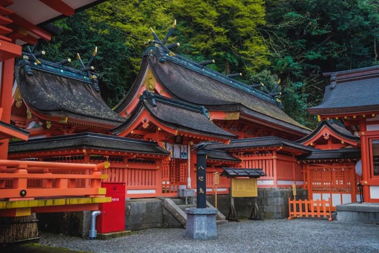 第一次去日本,真的很上头! 第一次去日本,真的很上头!