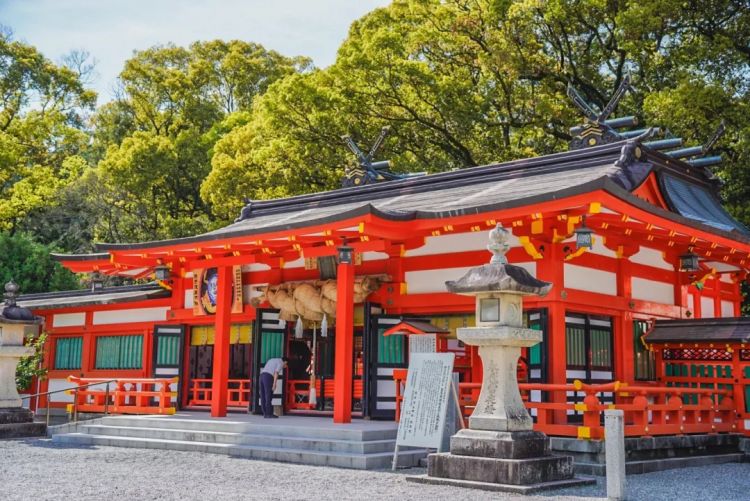 第一次去日本,真的很上头! 第一次去日本,真的很上头!