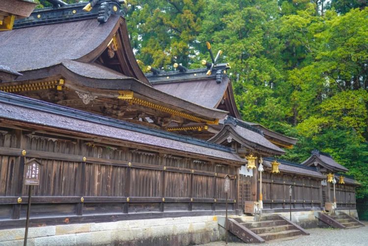 第一次去日本,真的很上头! 第一次去日本,真的很上头!