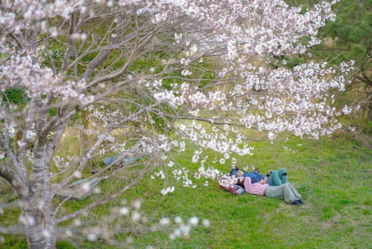 第一次去日本,真的很上头! 第一次去日本,真的很上头!