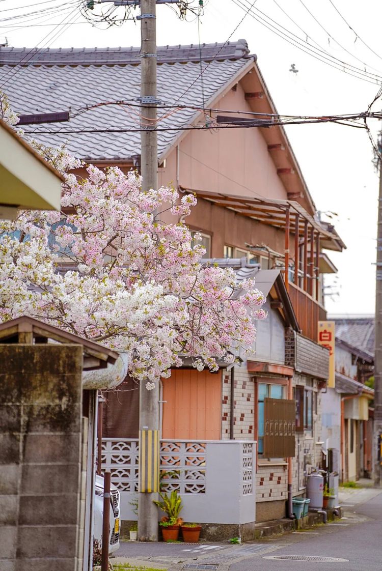 第一次去日本,真的很上头! 第一次去日本,真的很上头!