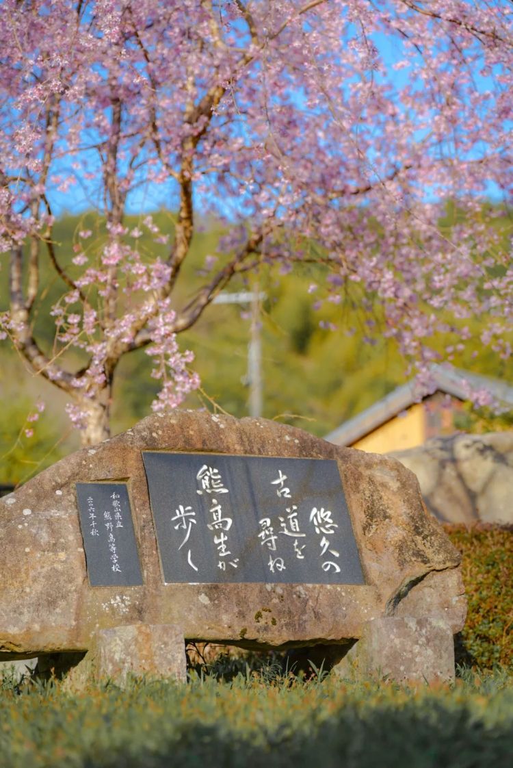 第一次去日本,真的很上头! 第一次去日本,真的很上头!