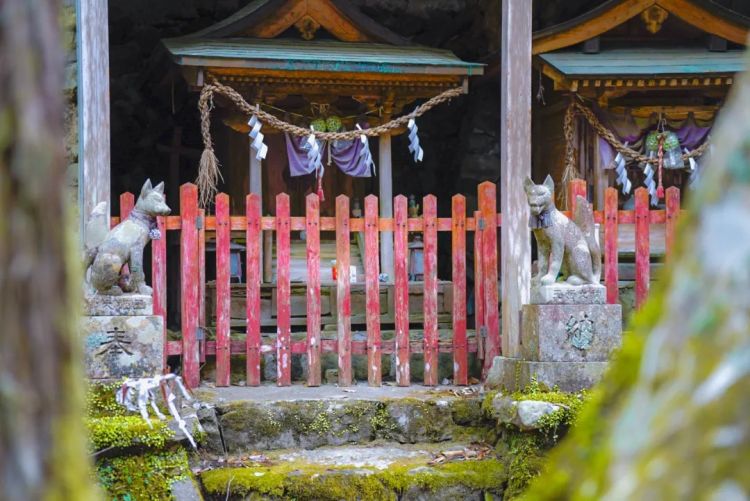 第一次去日本,真的很上头! 第一次去日本,真的很上头!