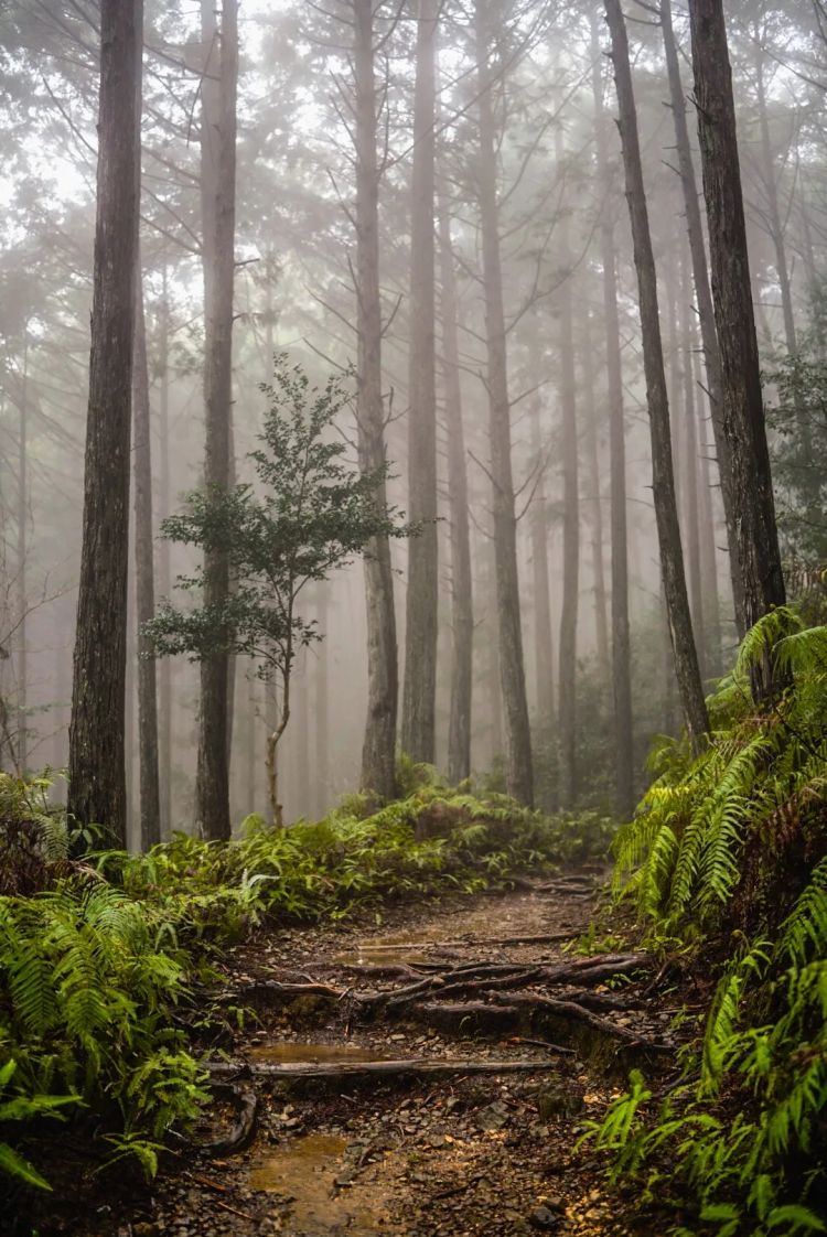 第一次去日本,真的很上头! 第一次去日本,真的很上头!
