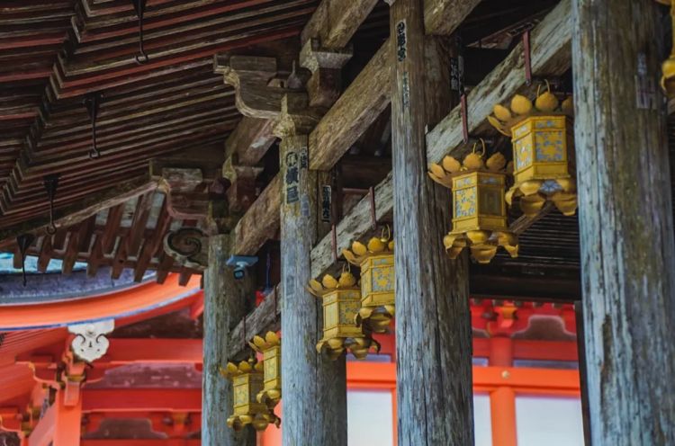 第一次去日本,真的很上头! 第一次去日本,真的很上头!