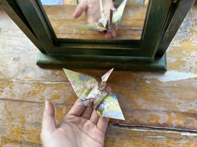 第一次去日本,真的很上头! 第一次去日本,真的很上头!