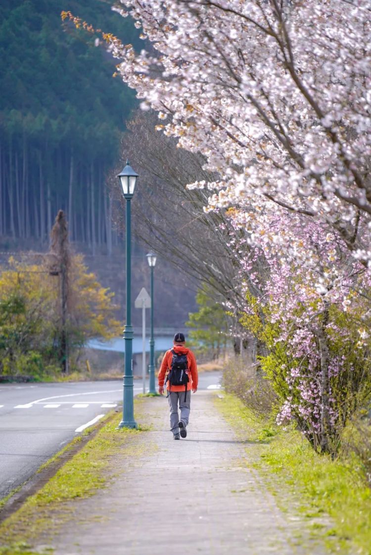第一次去日本,真的很上头! 第一次去日本,真的很上头!