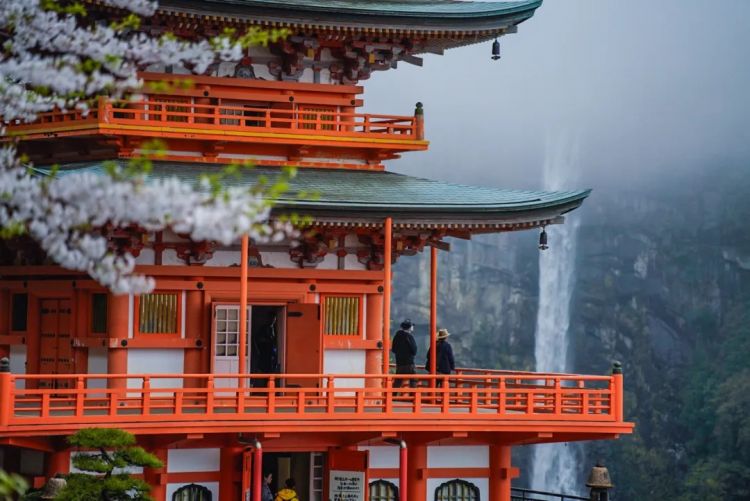 第一次去日本,真的很上头! 第一次去日本,真的很上头!