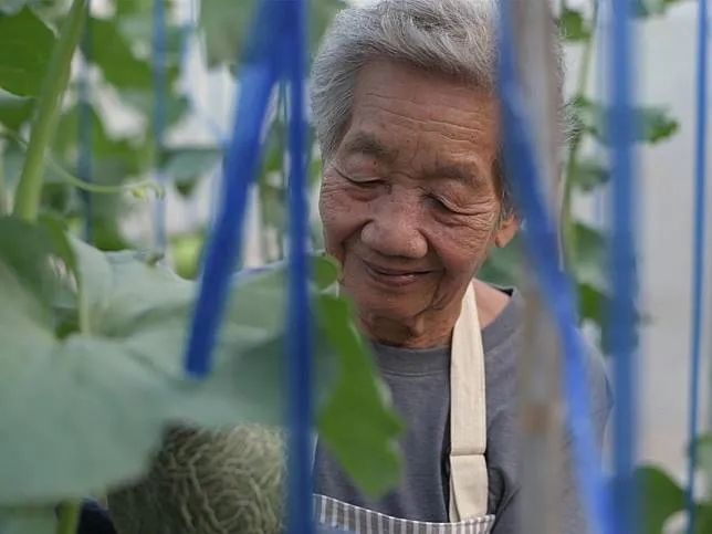 日本独居老人，如何体面地孤独死？