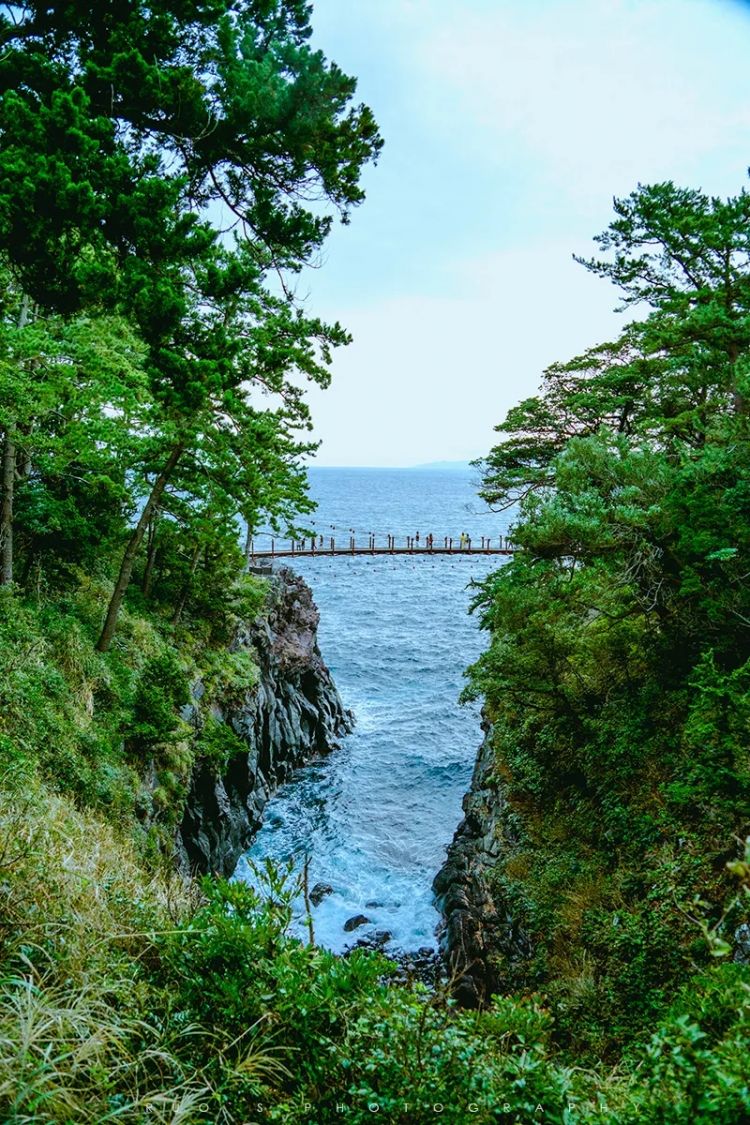 日本小城里的夏天，怎么样都玩不腻