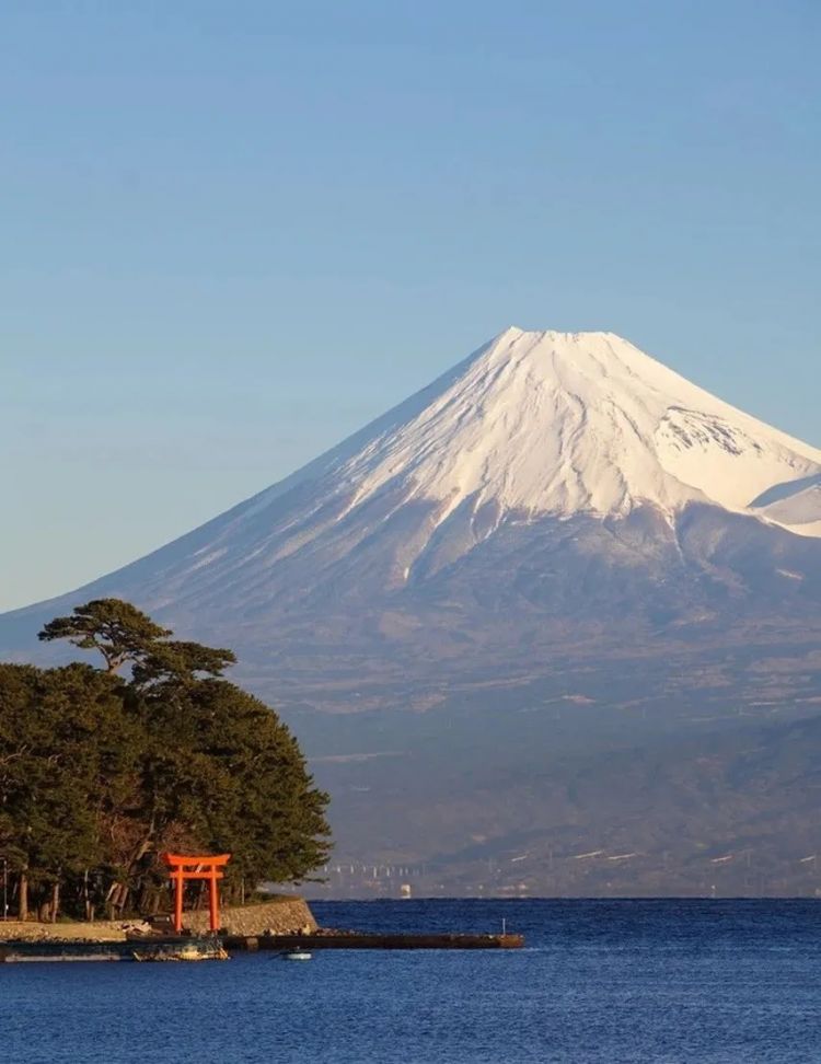 日本小城里的夏天，怎么样都玩不腻