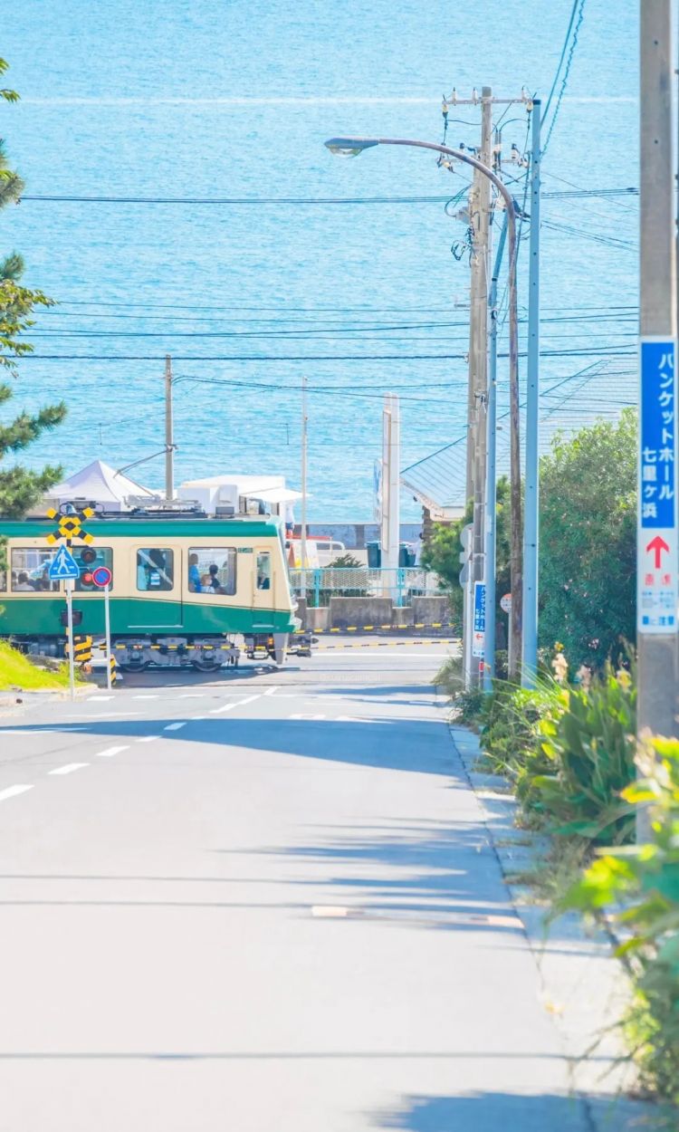 第195期：三丽鸥X富江联动；真子夫妇遭遇生活危机？日本柔道选手遭网暴 |百通板