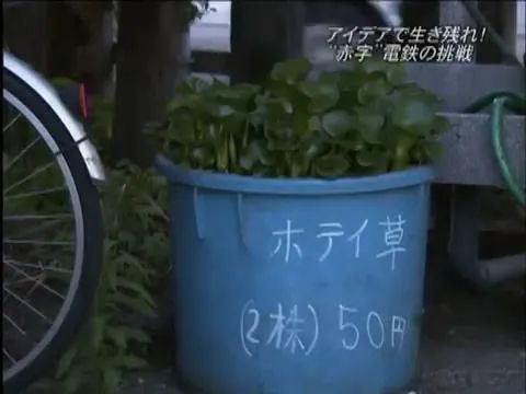 这家日本铁路公司赤字1亿，靠副业艰难维生…列车不能停……