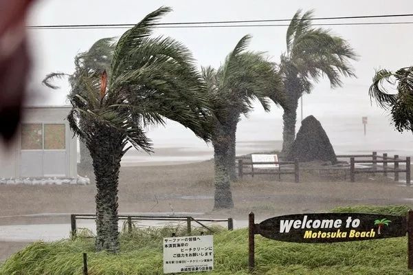 第198期：日本人吃不起大米了？咒术回战即将完结；日本南海海槽大地震警报解除 | 百通板