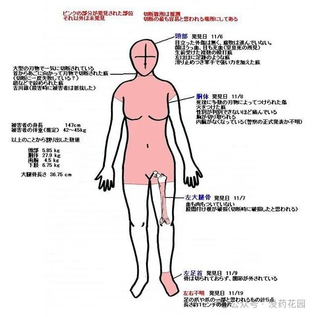 大一女生兼职后失踪，时隔七年终于找到线索……