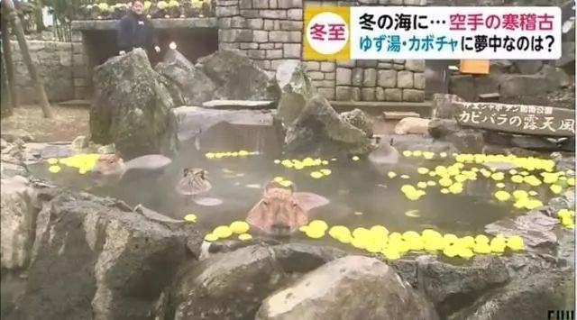 日本人对泡温泉到底有什么执念? 日本人对泡温泉到底有什么执念?